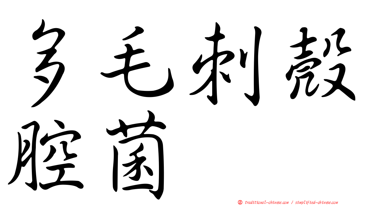 多毛刺殼腔菌