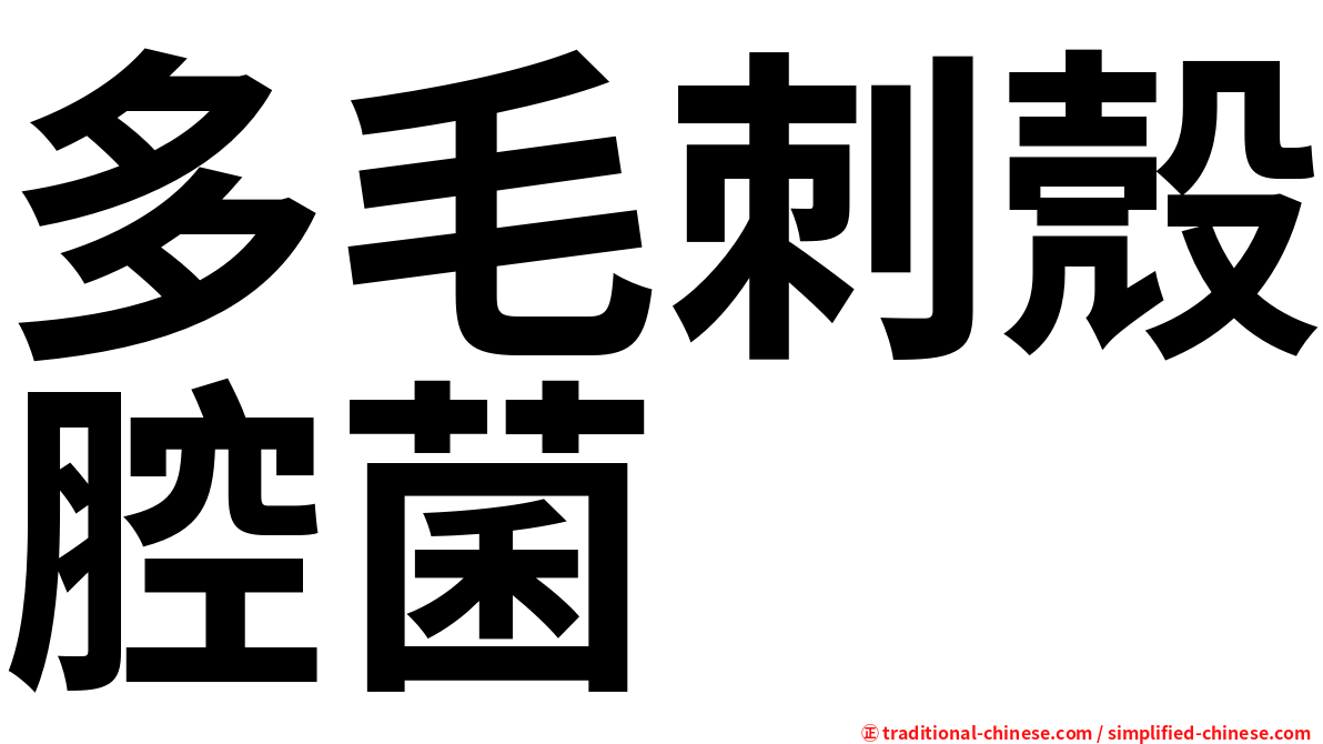 多毛刺殼腔菌