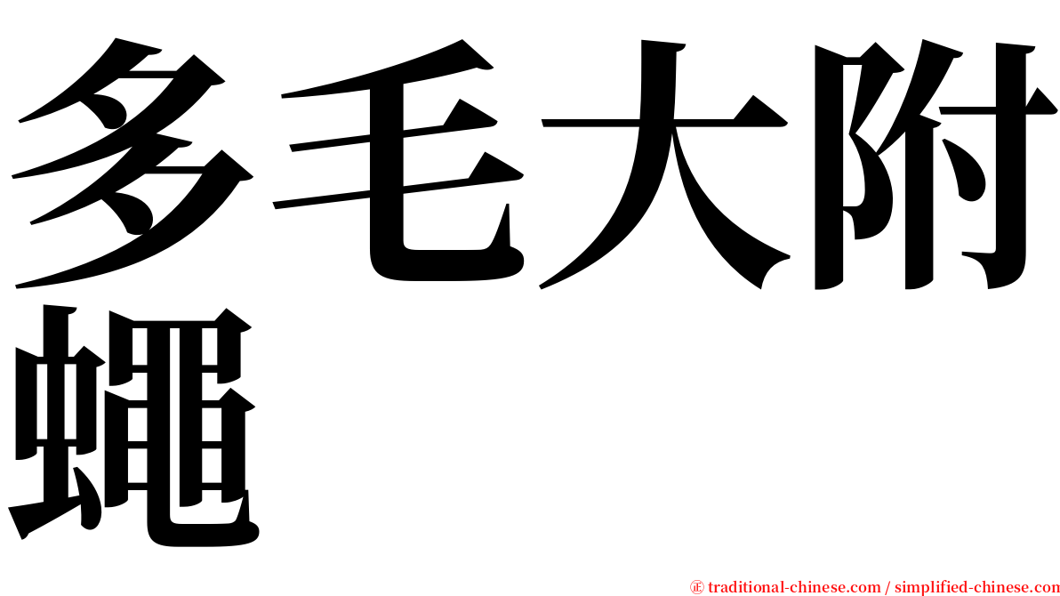 多毛大附蠅 serif font