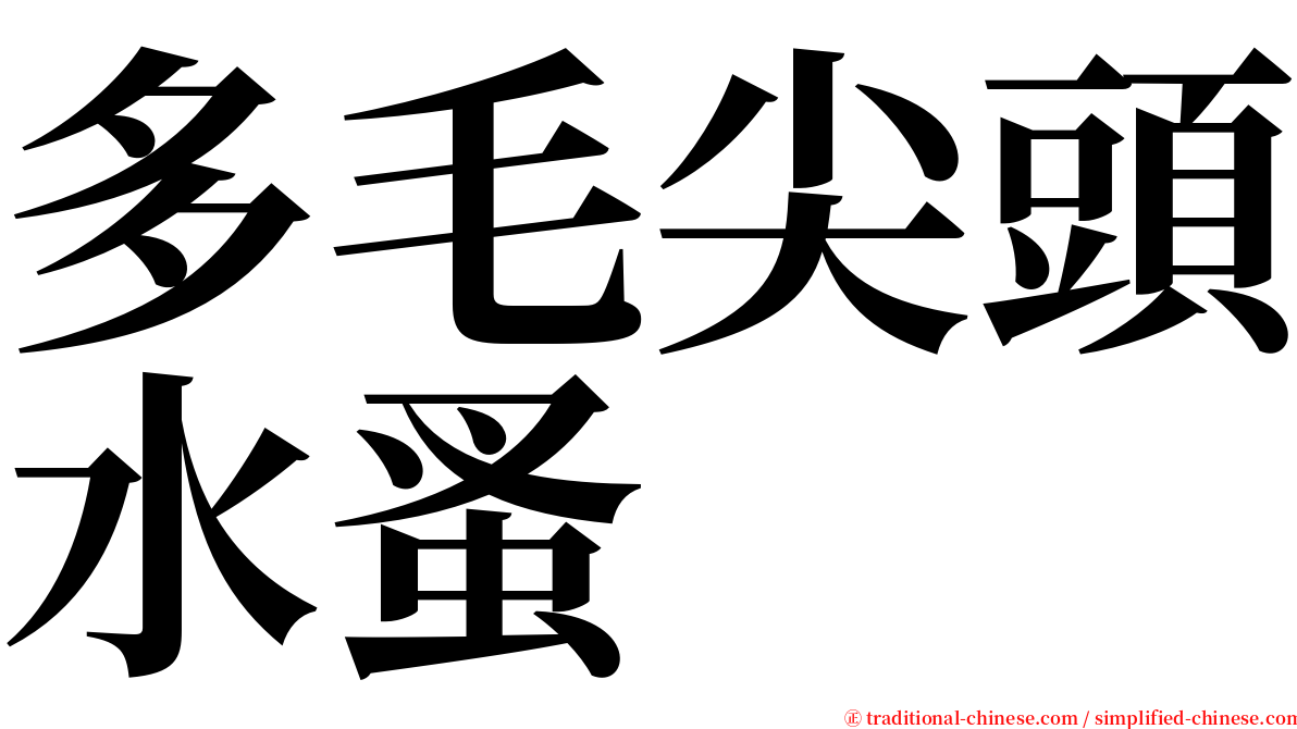 多毛尖頭水蚤 serif font