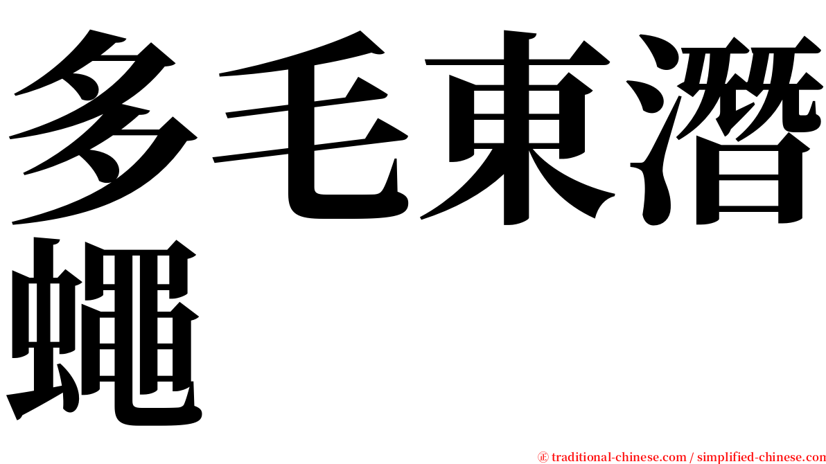 多毛東潛蠅 serif font