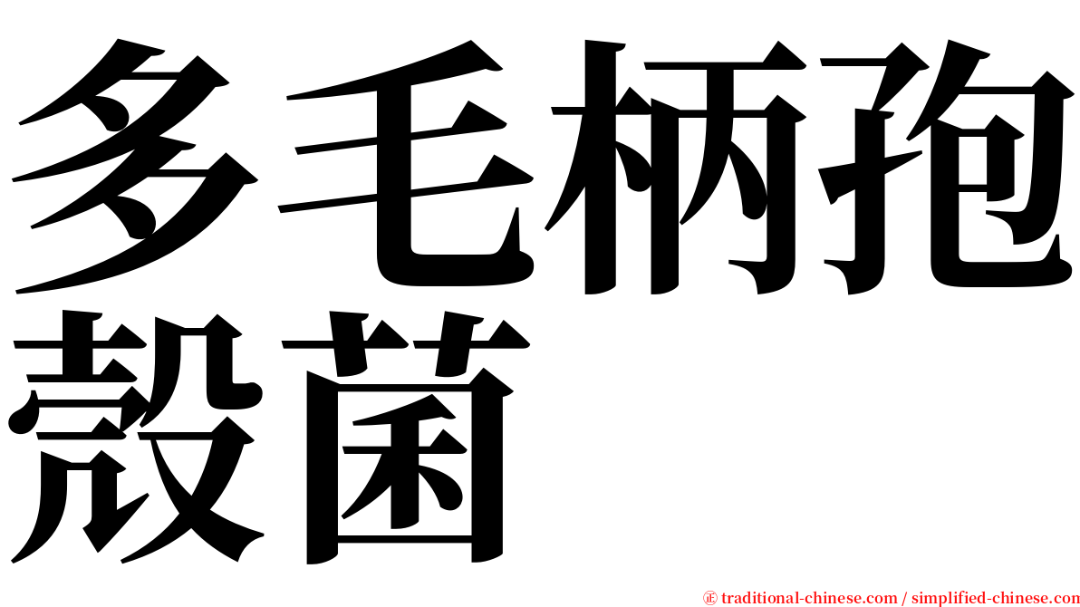 多毛柄孢殼菌 serif font