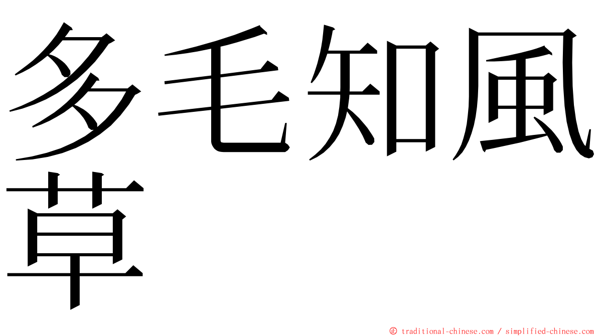 多毛知風草 ming font