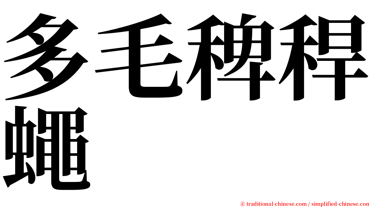 多毛稗稈蠅 serif font