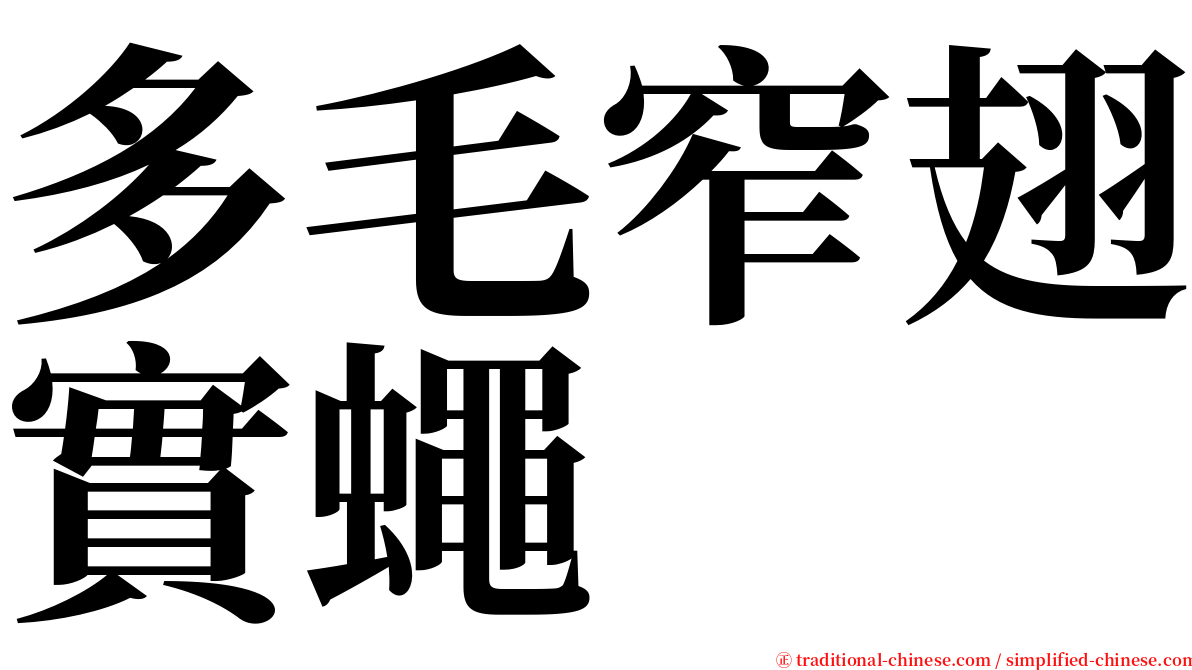 多毛窄翅實蠅 serif font