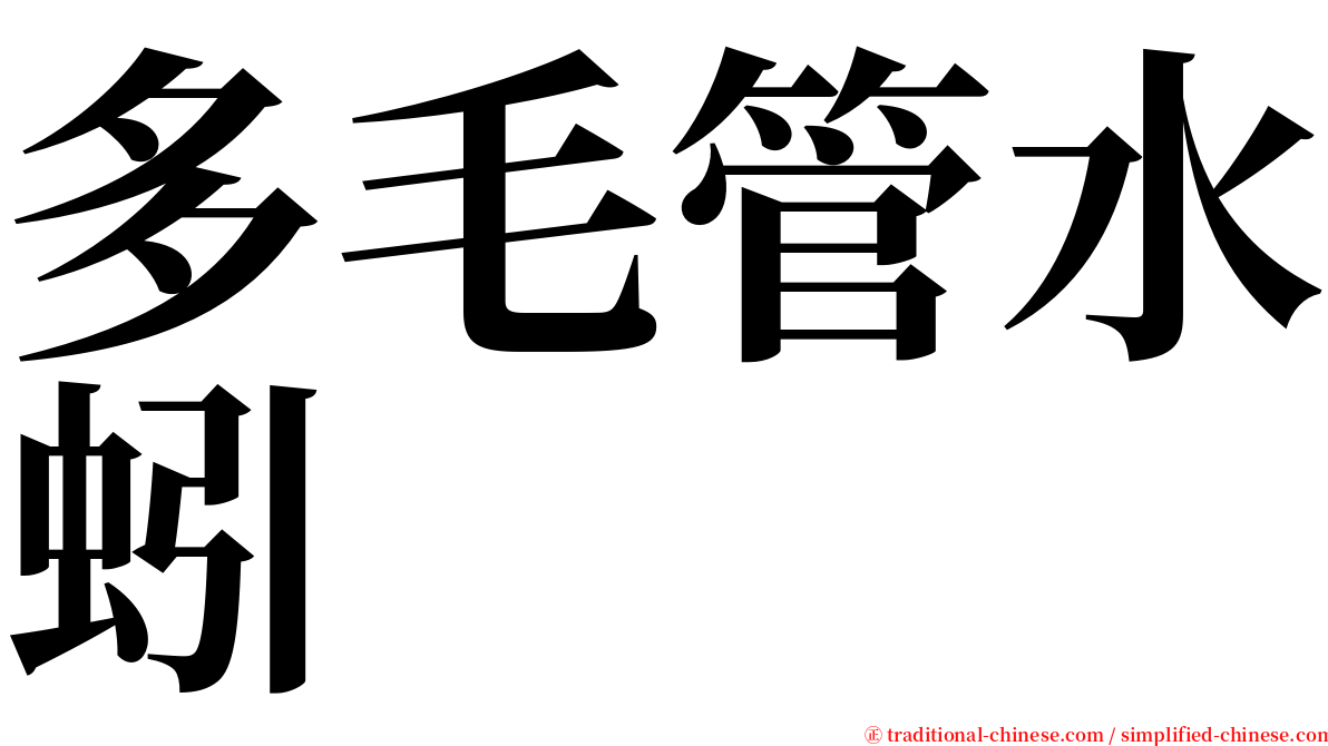 多毛管水蚓 serif font