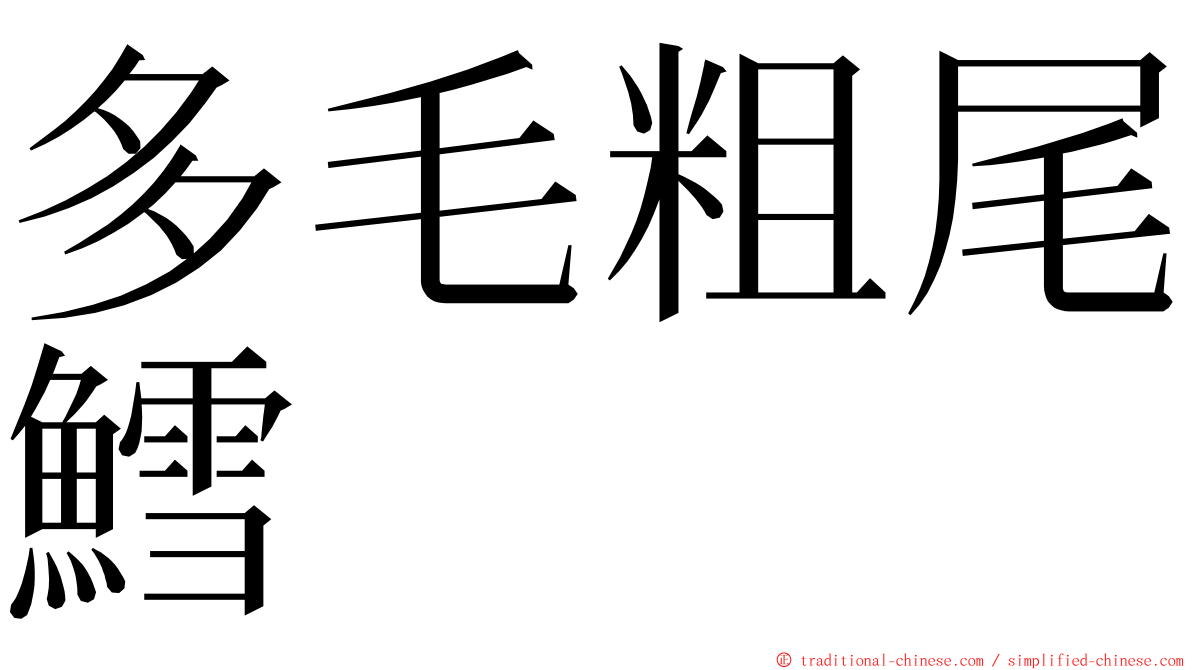 多毛粗尾鱈 ming font