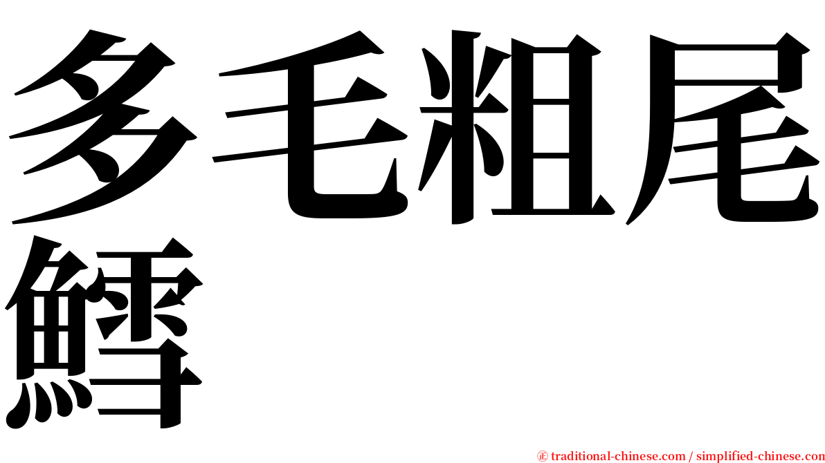 多毛粗尾鱈 serif font