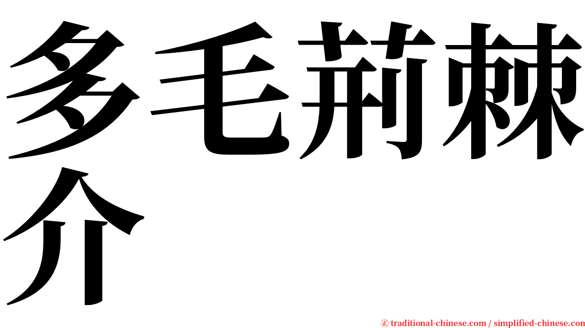 多毛荊棘介 serif font