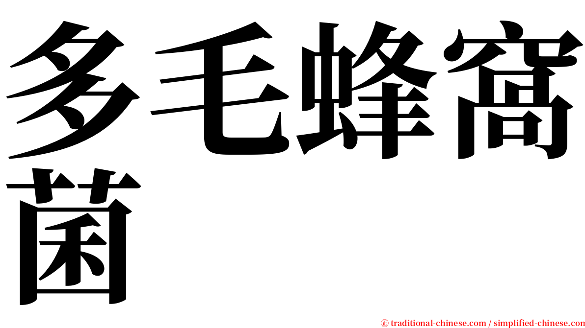 多毛蜂窩菌 serif font