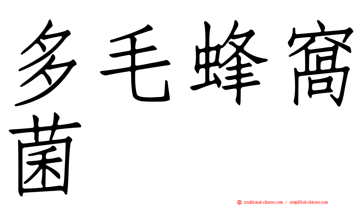 多毛蜂窩菌