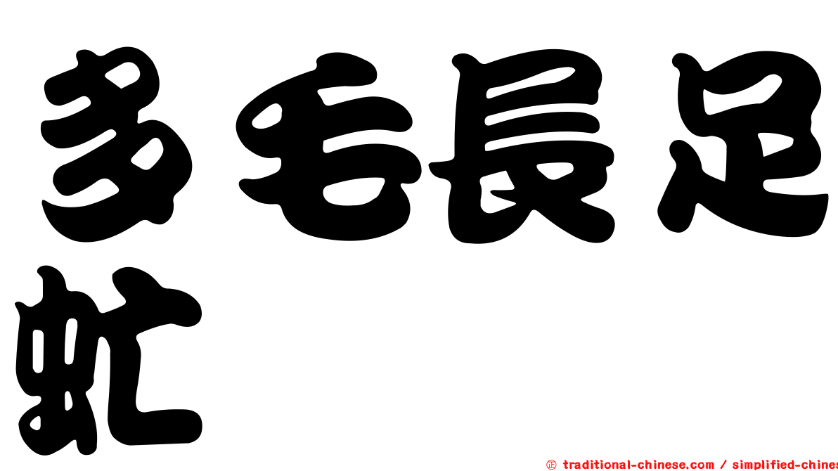 多毛長足虻