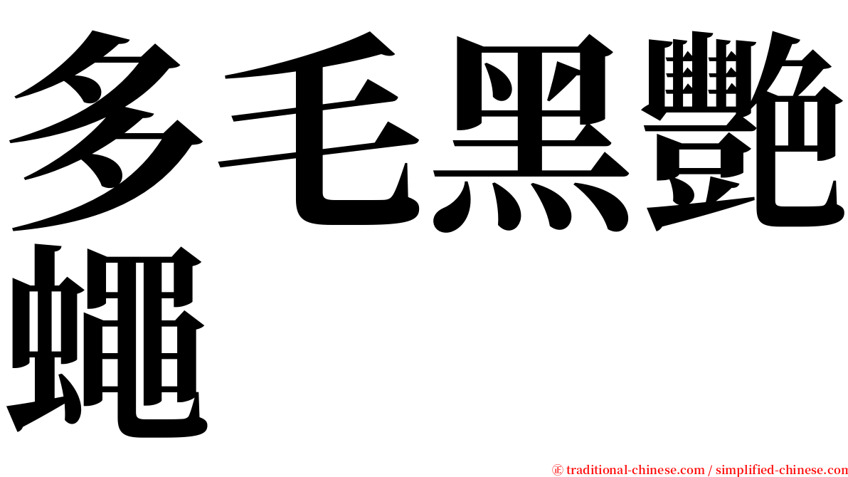 多毛黑艷蠅 serif font