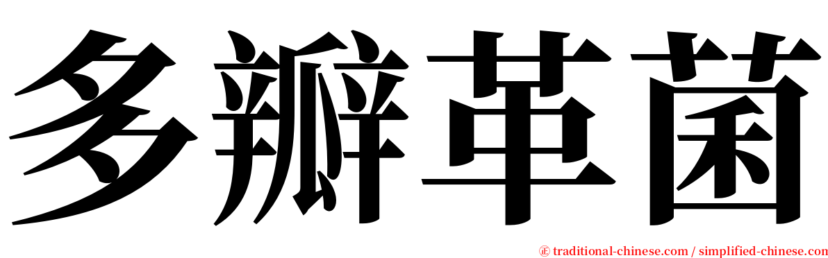 多瓣革菌 serif font