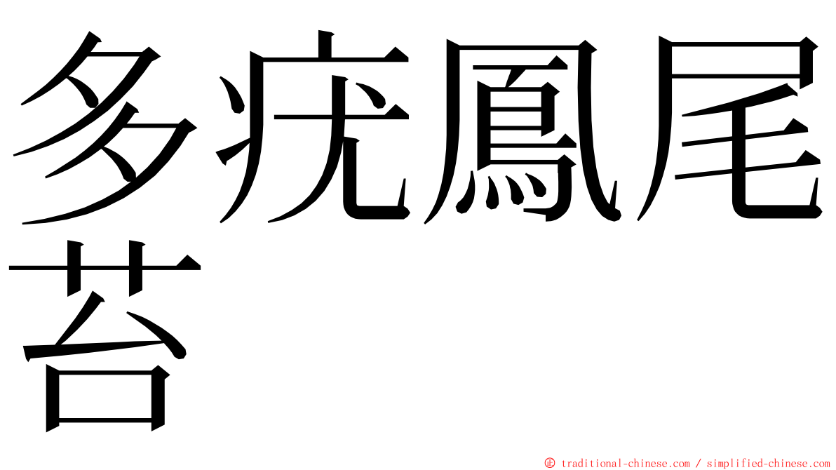 多疣鳳尾苔 ming font