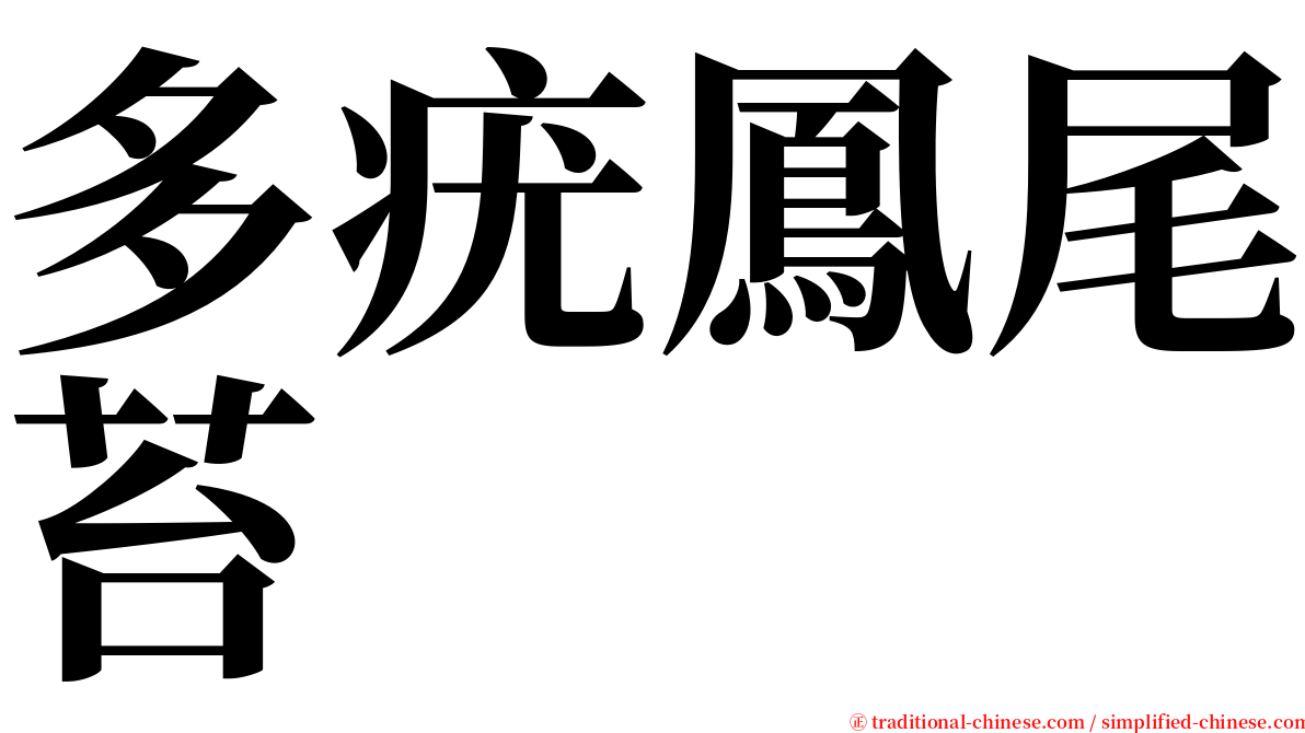 多疣鳳尾苔 serif font