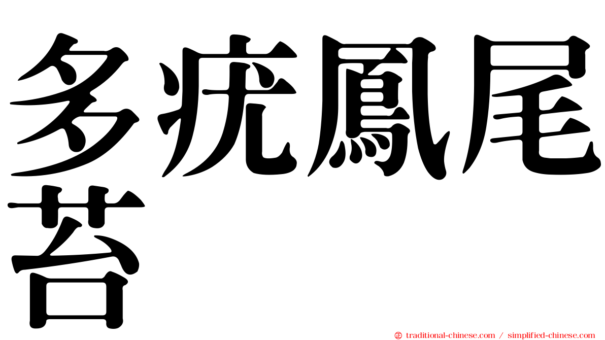 多疣鳳尾苔