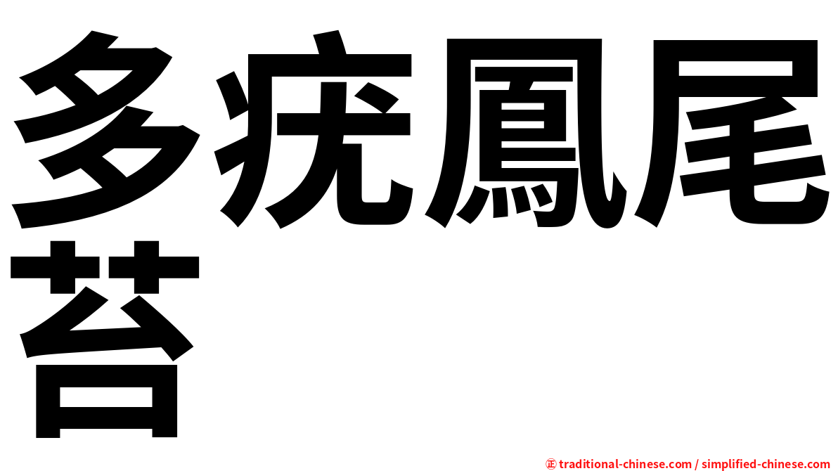 多疣鳳尾苔