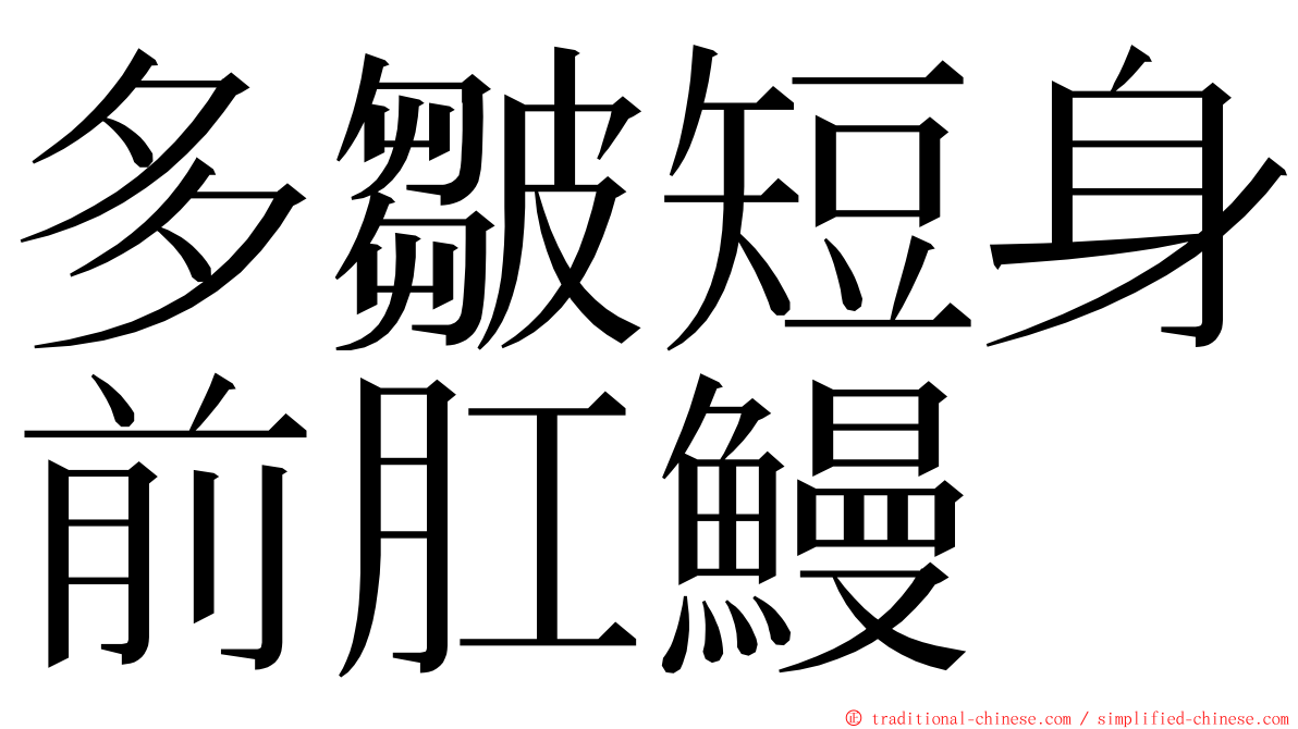 多皺短身前肛鰻 ming font