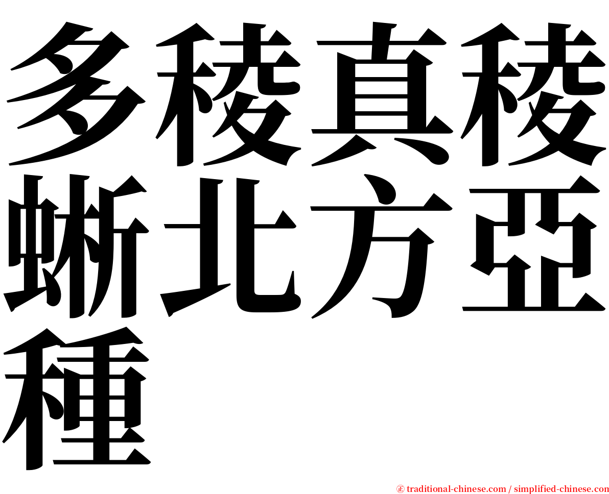 多稜真稜蜥北方亞種 serif font