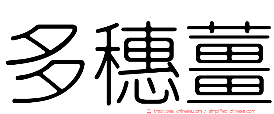 多穗薑