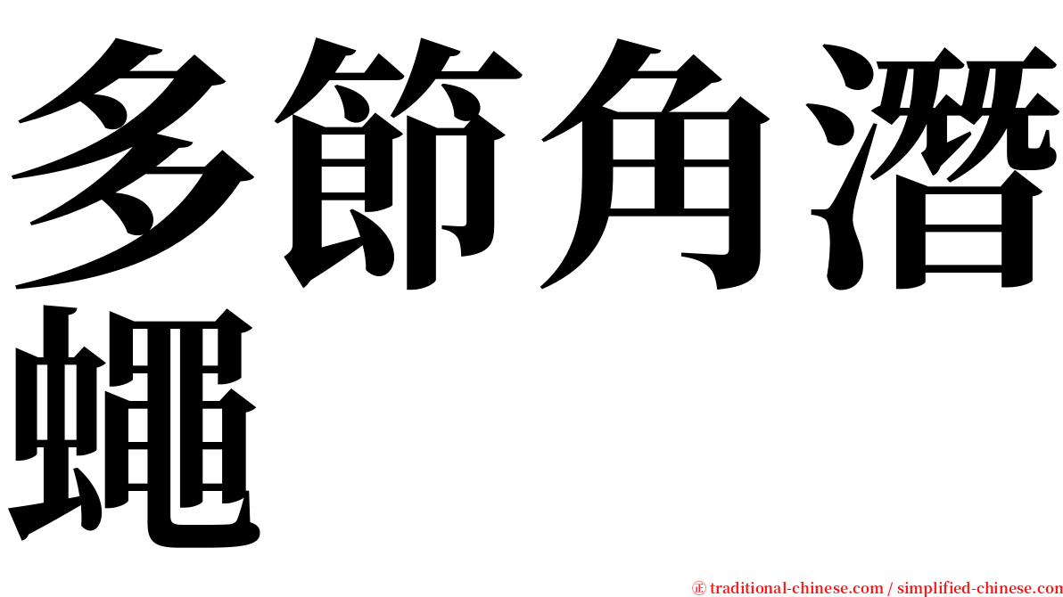 多節角潛蠅 serif font