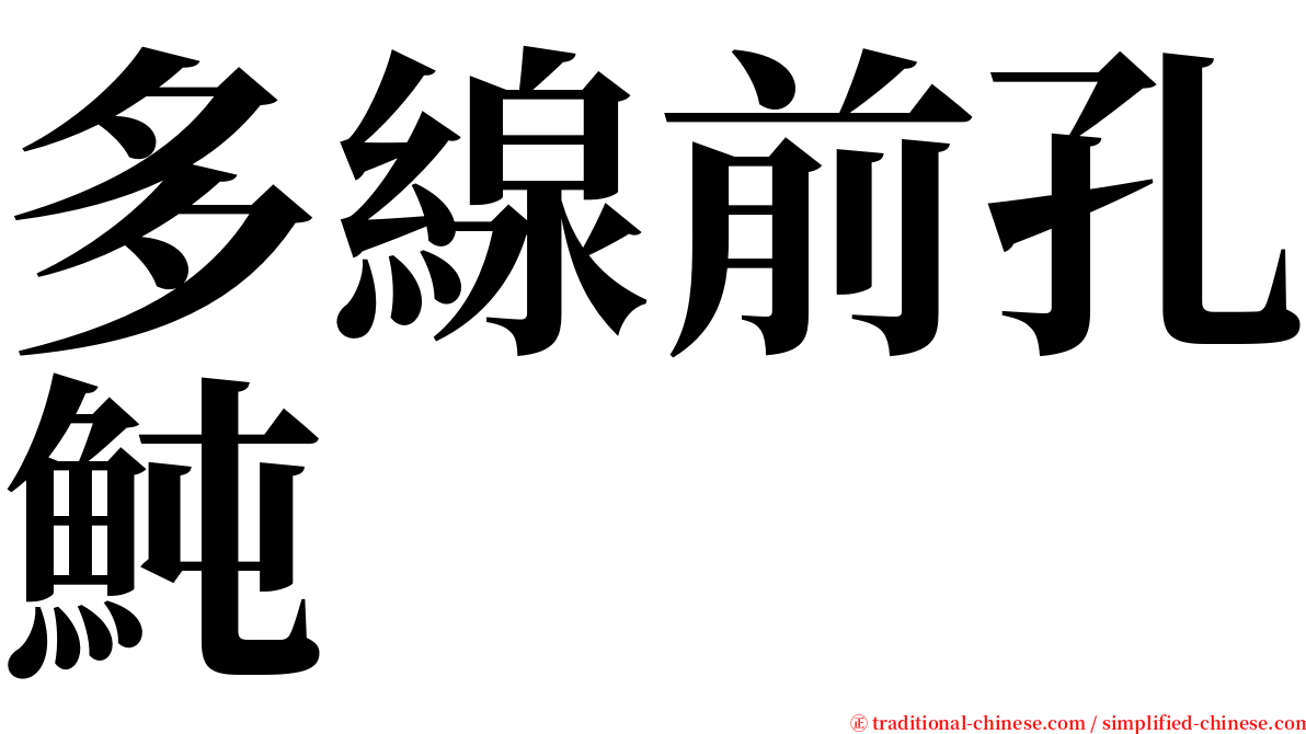 多線前孔魨 serif font