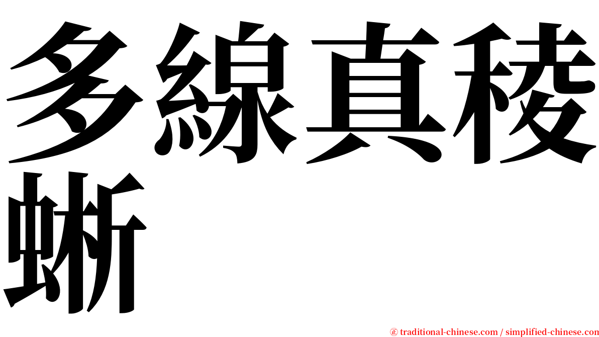 多線真稜蜥 serif font