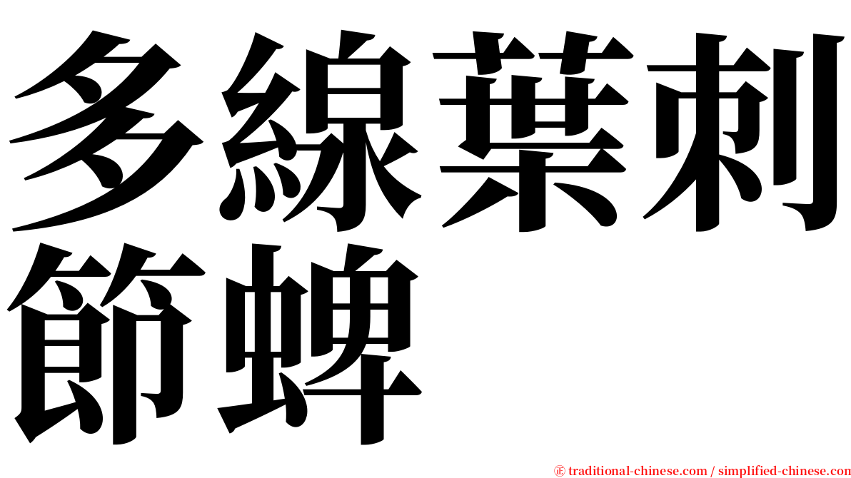 多線葉刺節蜱 serif font