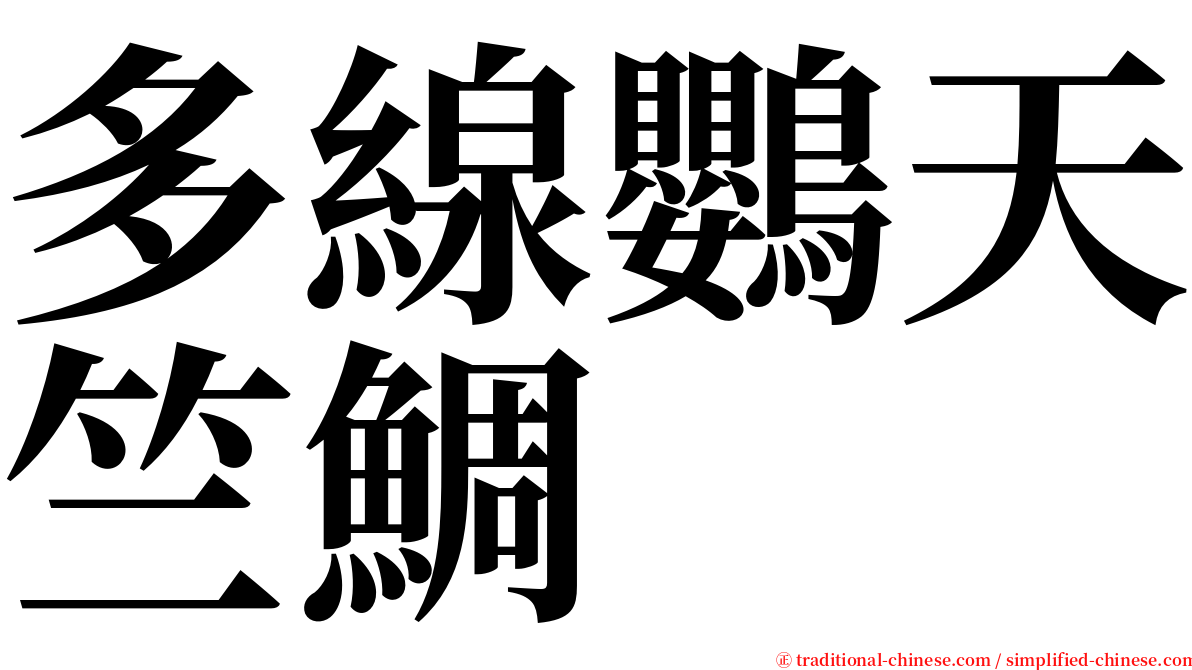 多線鸚天竺鯛 serif font