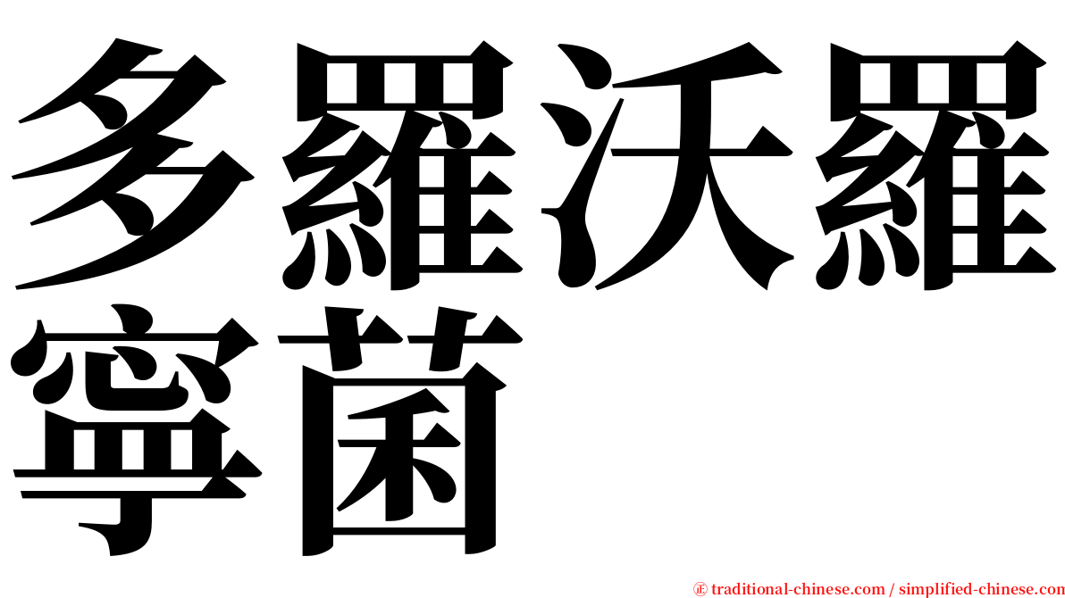 多羅沃羅寧菌 serif font