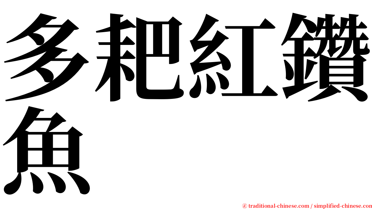 多耙紅鑽魚 serif font