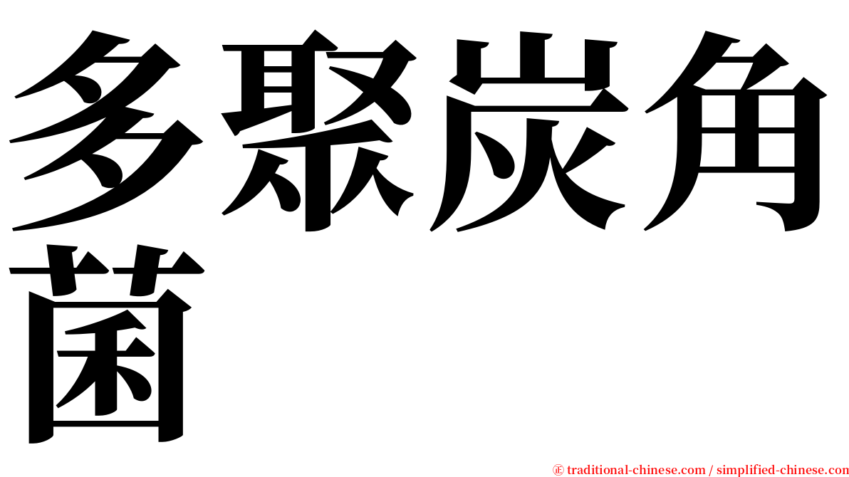 多聚炭角菌 serif font