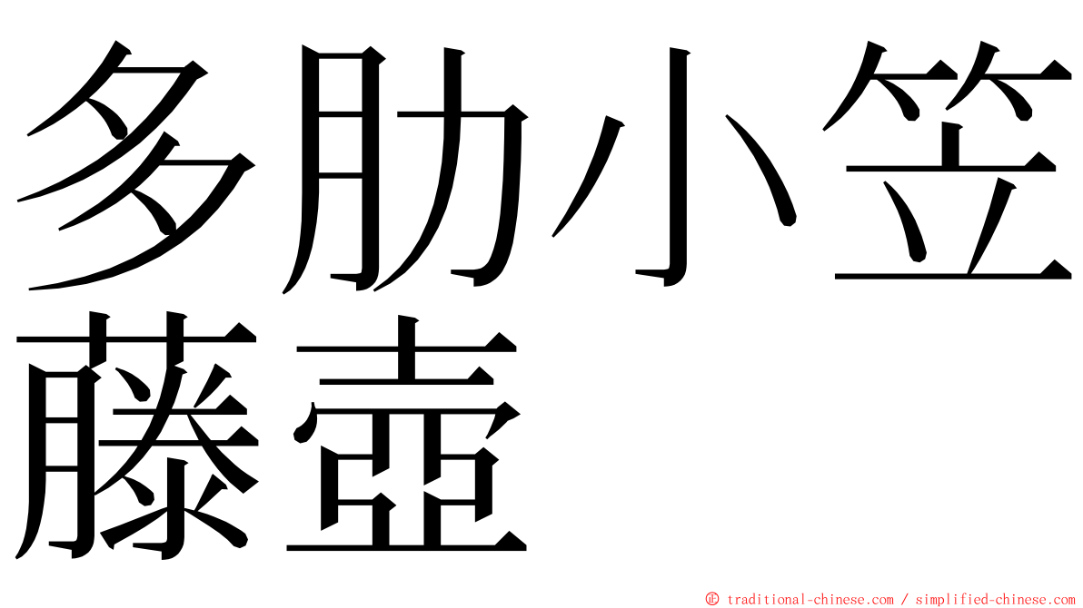 多肋小笠藤壺 ming font