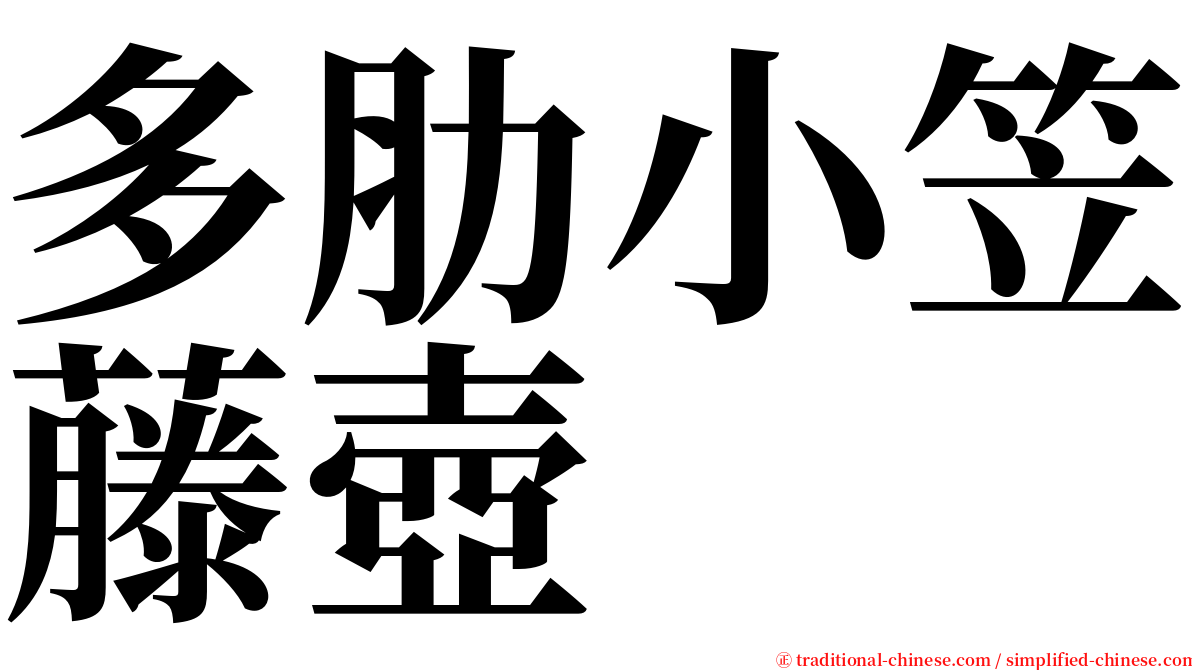 多肋小笠藤壺 serif font