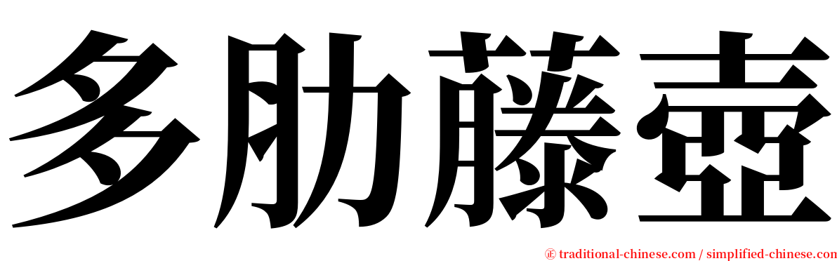 多肋藤壺 serif font