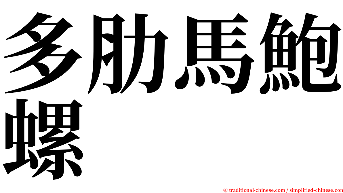 多肋馬鮑螺 serif font