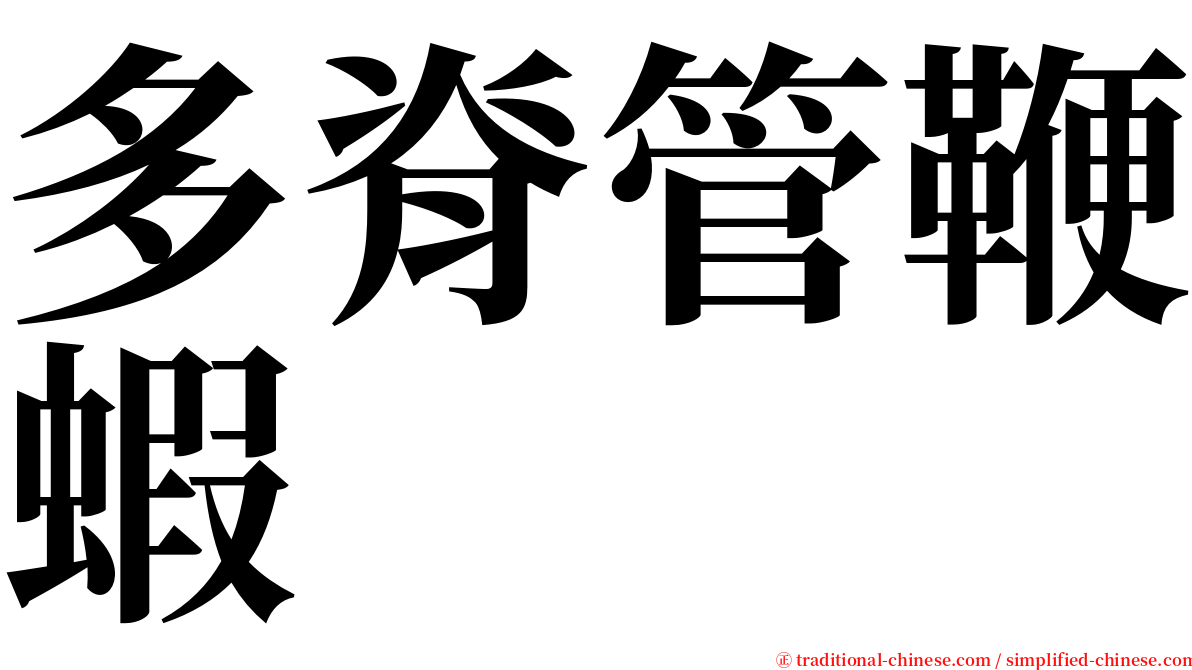 多脊管鞭蝦 serif font