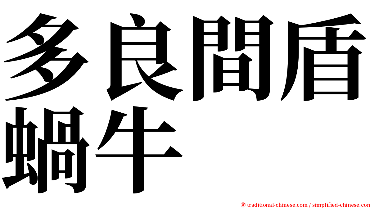 多良間盾蝸牛 serif font