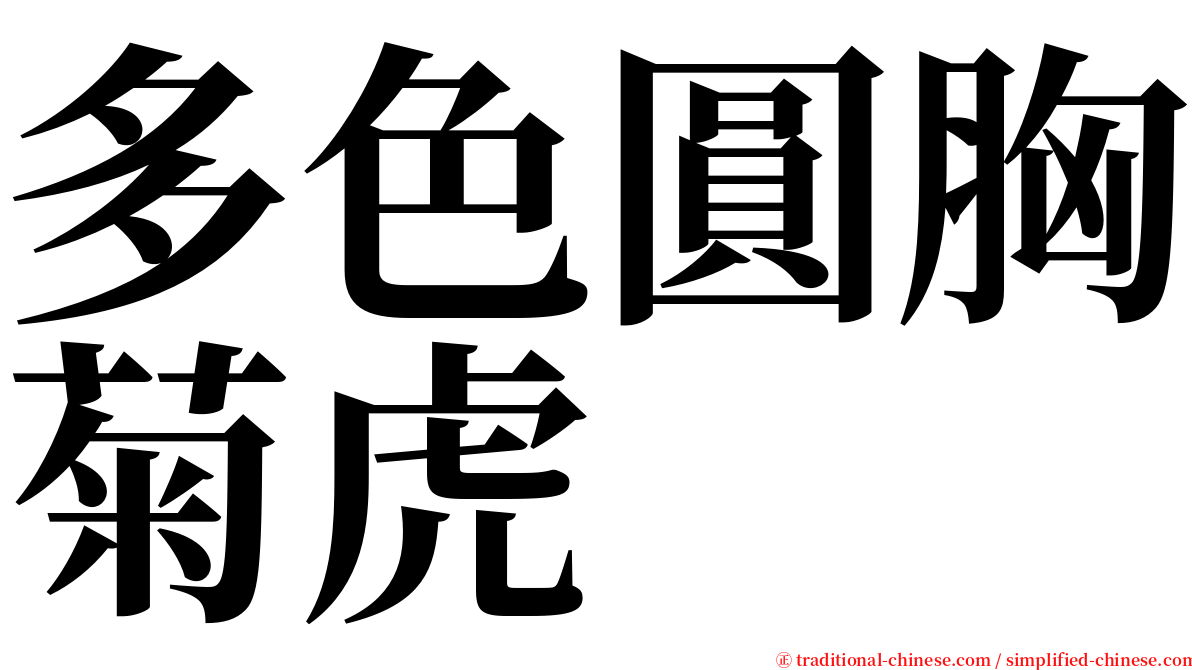 多色圓胸菊虎 serif font