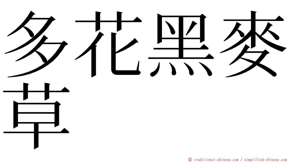 多花黑麥草 ming font