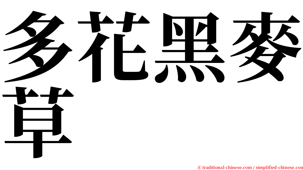 多花黑麥草 serif font