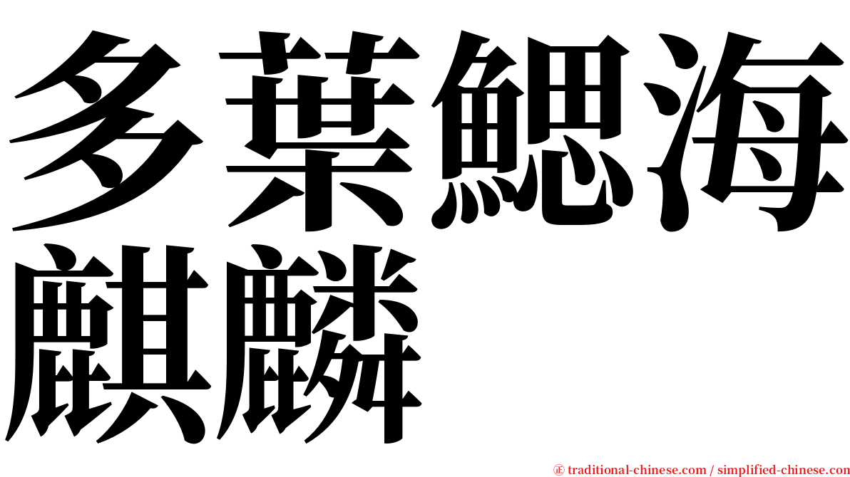 多葉鰓海麒麟 serif font