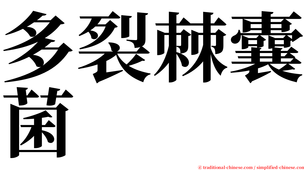 多裂棘囊菌 serif font
