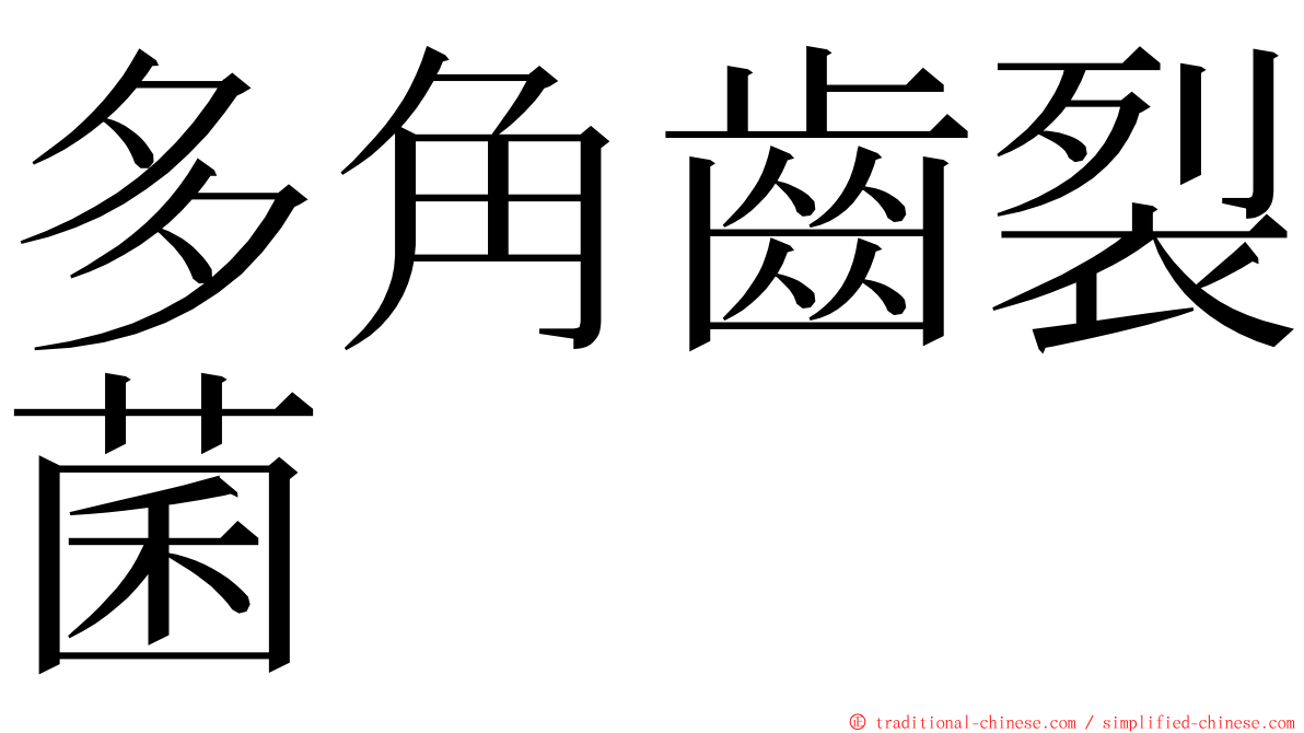 多角齒裂菌 ming font