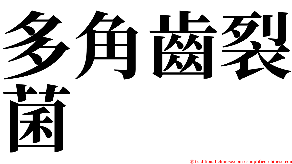 多角齒裂菌 serif font