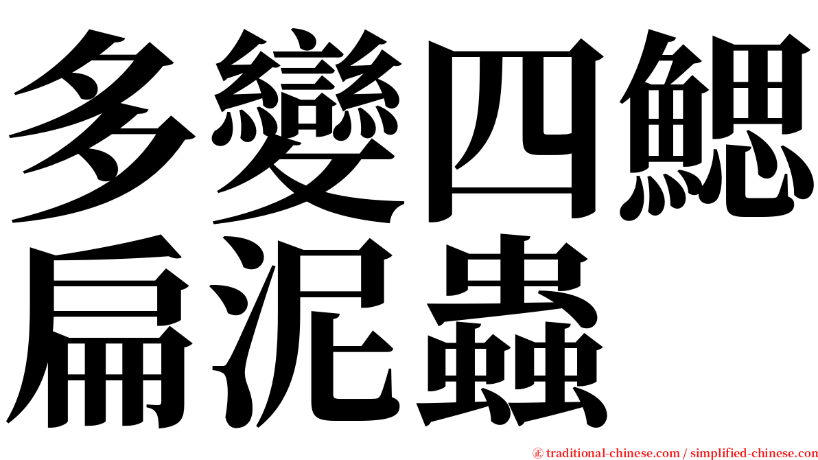 多變四鰓扁泥蟲 serif font