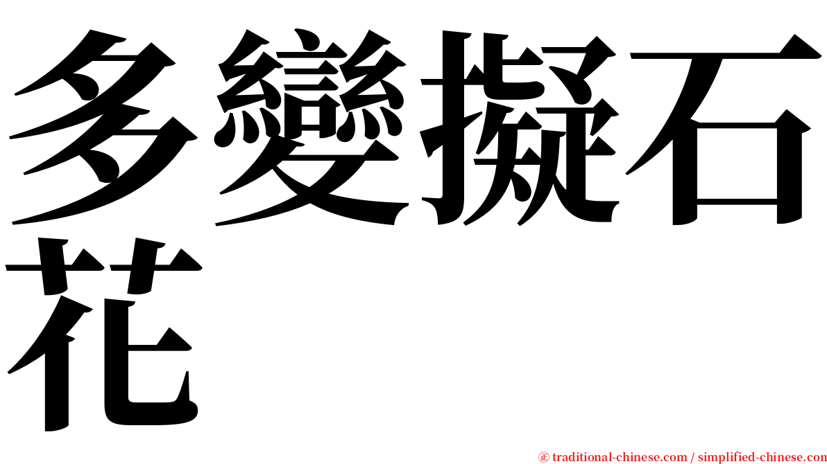 多變擬石花 serif font