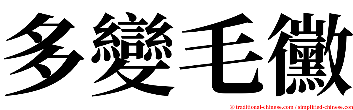 多變毛黴 serif font