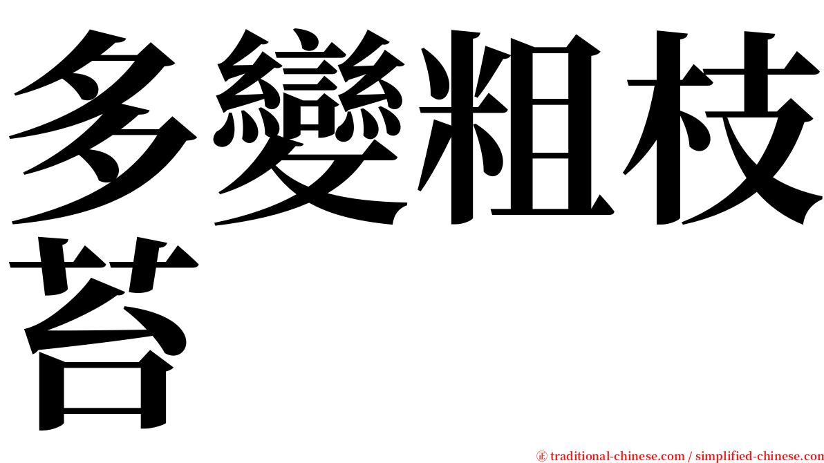 多變粗枝苔 serif font